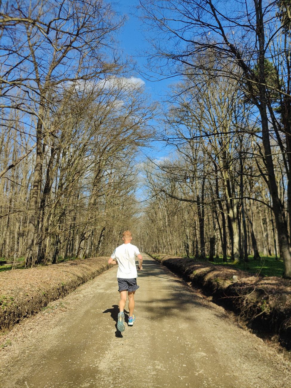 Correr por el bosque